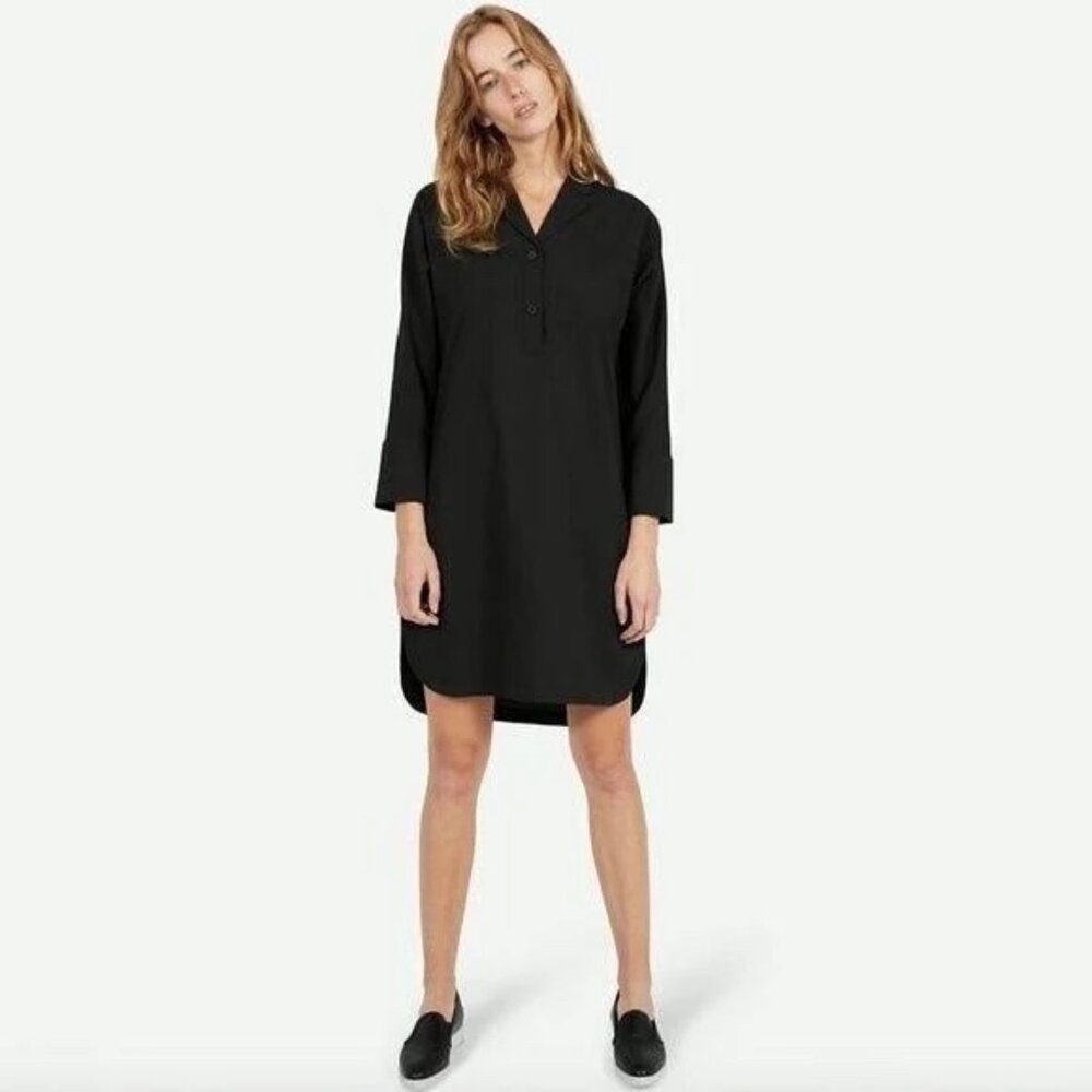 everlane long sleeve painters dress